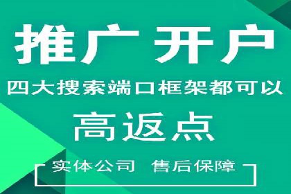 某行业sem代运营推广公司成功案例分析